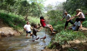 Team Member