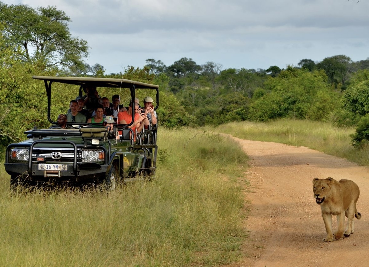 Manyeleti Reserve game drive