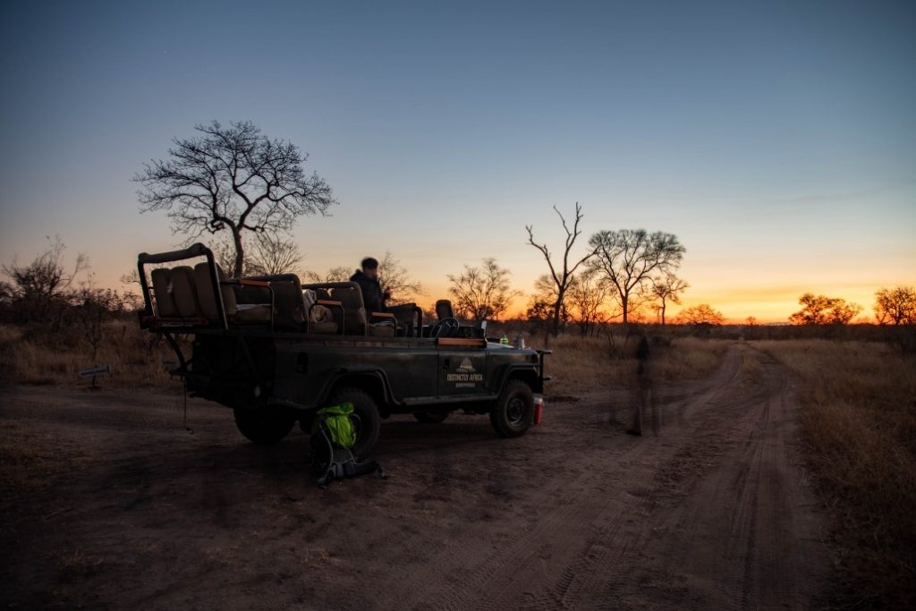 Kruger Manyeleti Safaris