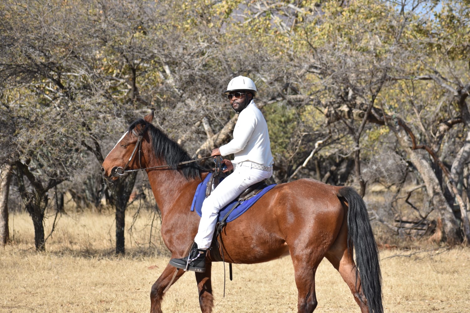 Horse Back Riding Safari