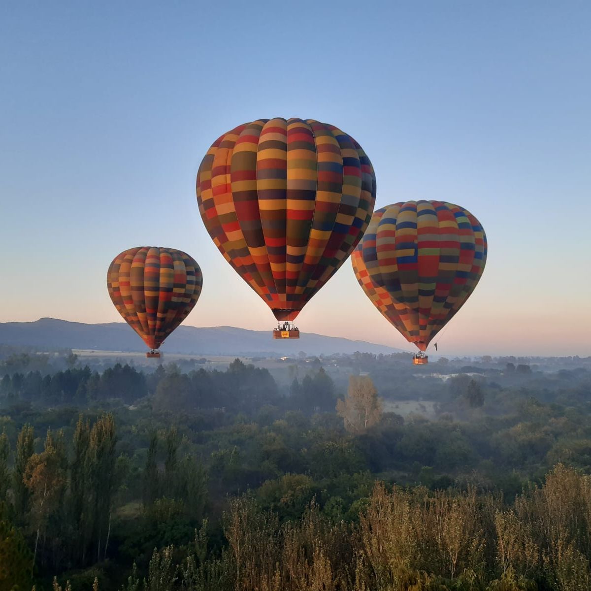 Hot Air Balloon Safari