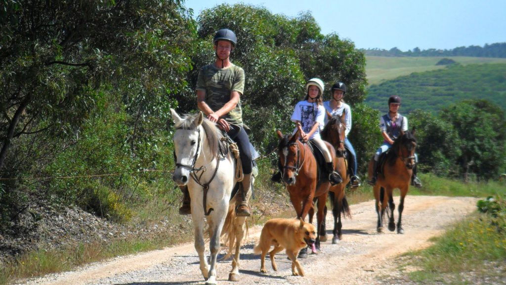 Horse Back Tour