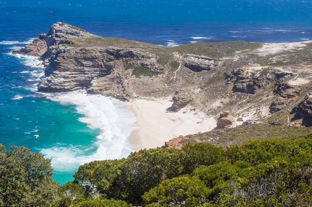 Cape Peninsula Half Day