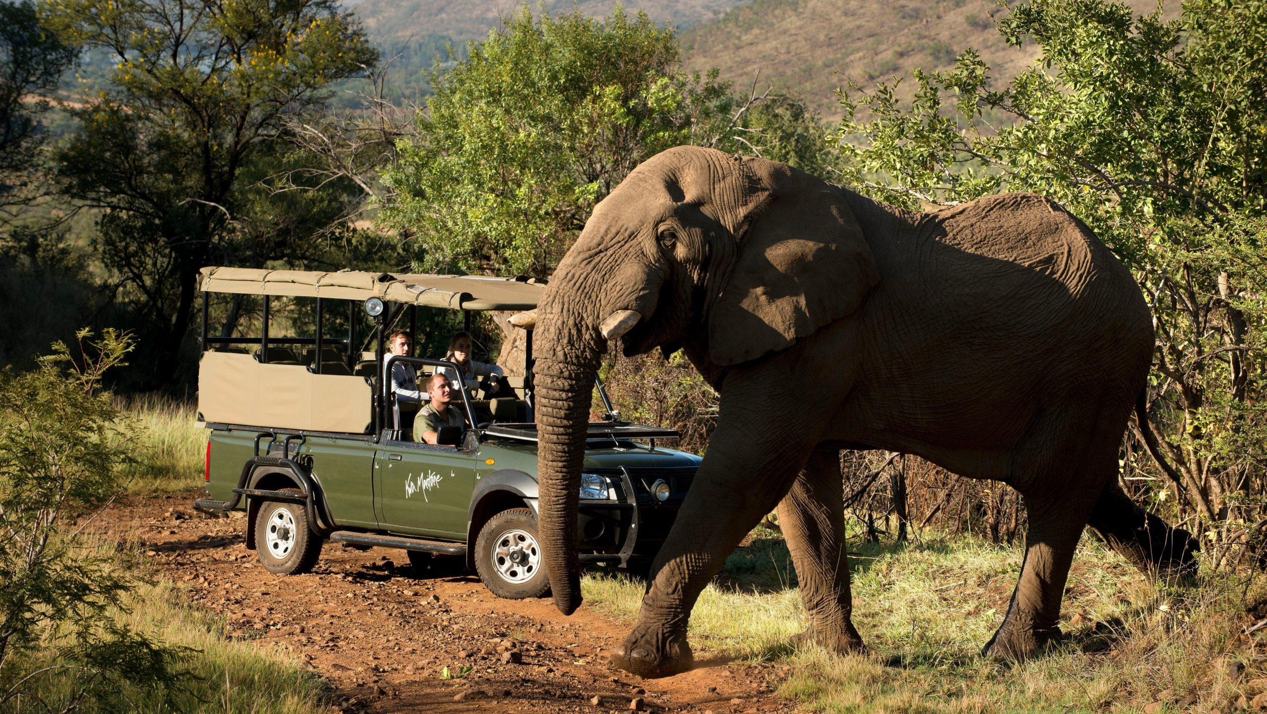 3 Day Johannesburg Soweto Pilanesberg Safari