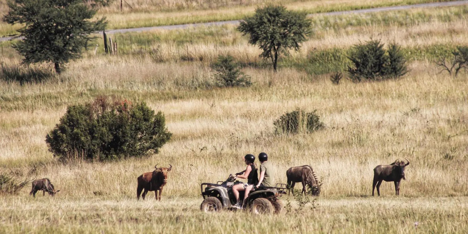 Quad Biking Safari