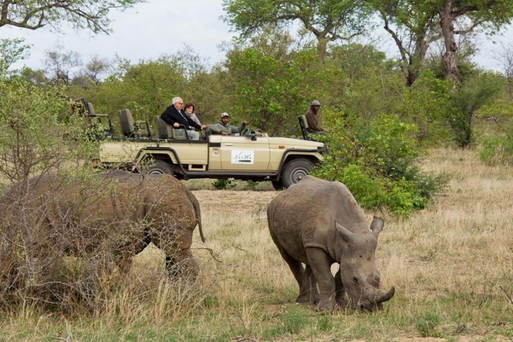 Elephant Sanctuary Tour