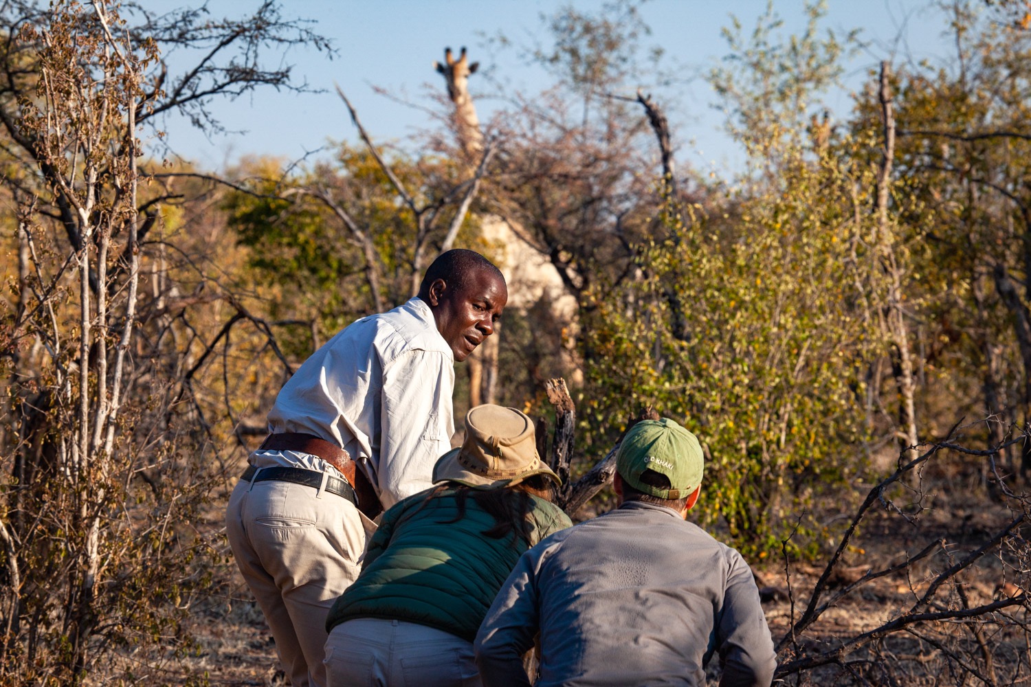 Zambezi Bush Walk