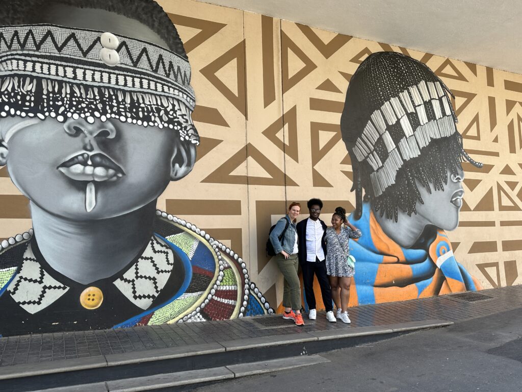 Johannesburg Street Arts Tour