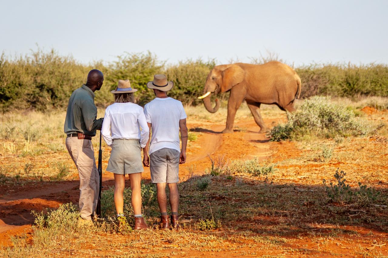 Sabi Sands Day Safari